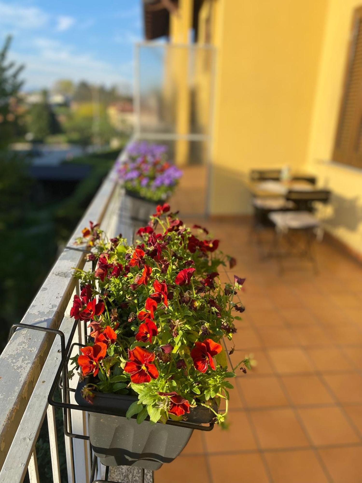 Appartamento Anna Lungo Fiume - Lago Maggiore Sesto Calende Exteriér fotografie
